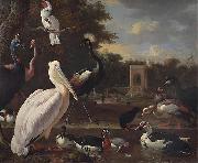Melchior de Hondecoeter A Pelican and other exotic birds in a park painting